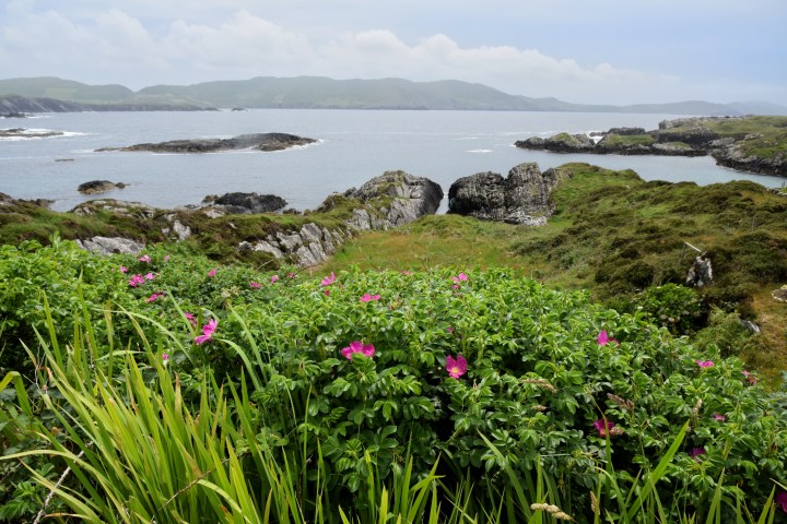 Ring of Beara, Ireland - 2016