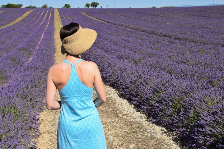 Valensole Plateau, France - 2015