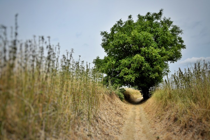 Auvers-sur-Oise, France - 2015